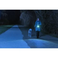 Abus Taschenlampe SecLight TL-530 LED, 900 Lumen, Cree, Spritzwassergeschützt -Bosch Shop 0cf53ecf792d5556061a88777e8f47663f84e065 taschenlampe abus seclight tl 530 led